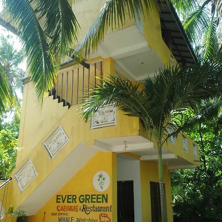 Ever Green Мірісса Екстер'єр фото