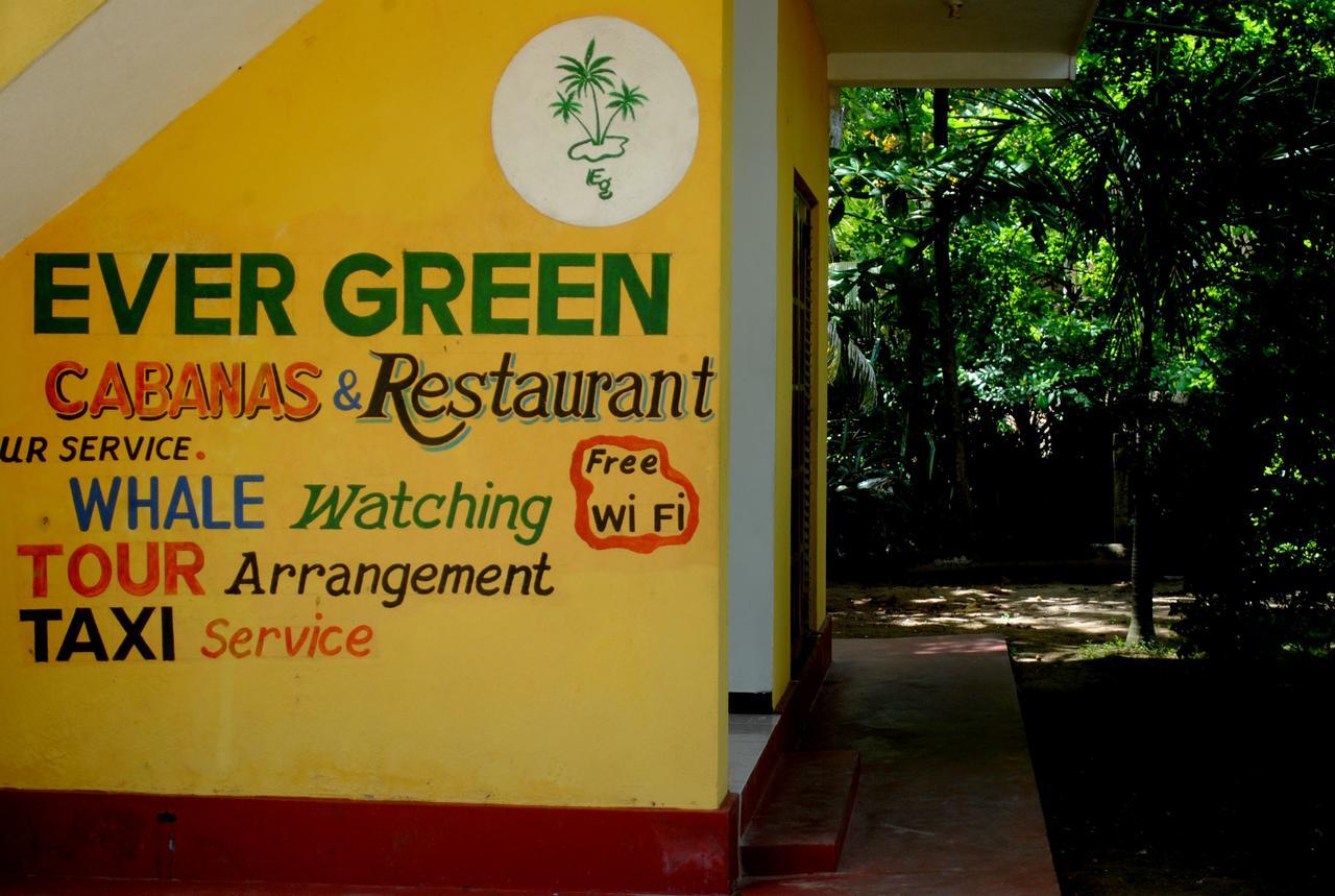 Ever Green Мірісса Екстер'єр фото