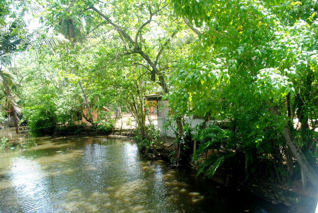 Ever Green Мірісса Екстер'єр фото